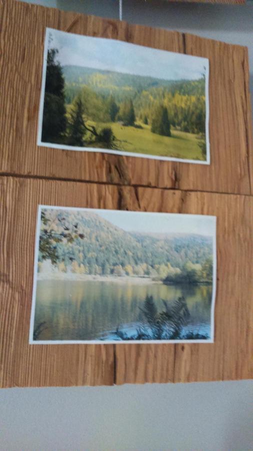 Spa Et Sauna Xonrupt-Longemer Bagian luar foto